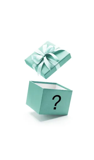 🎁 Mystery gift (100% off)