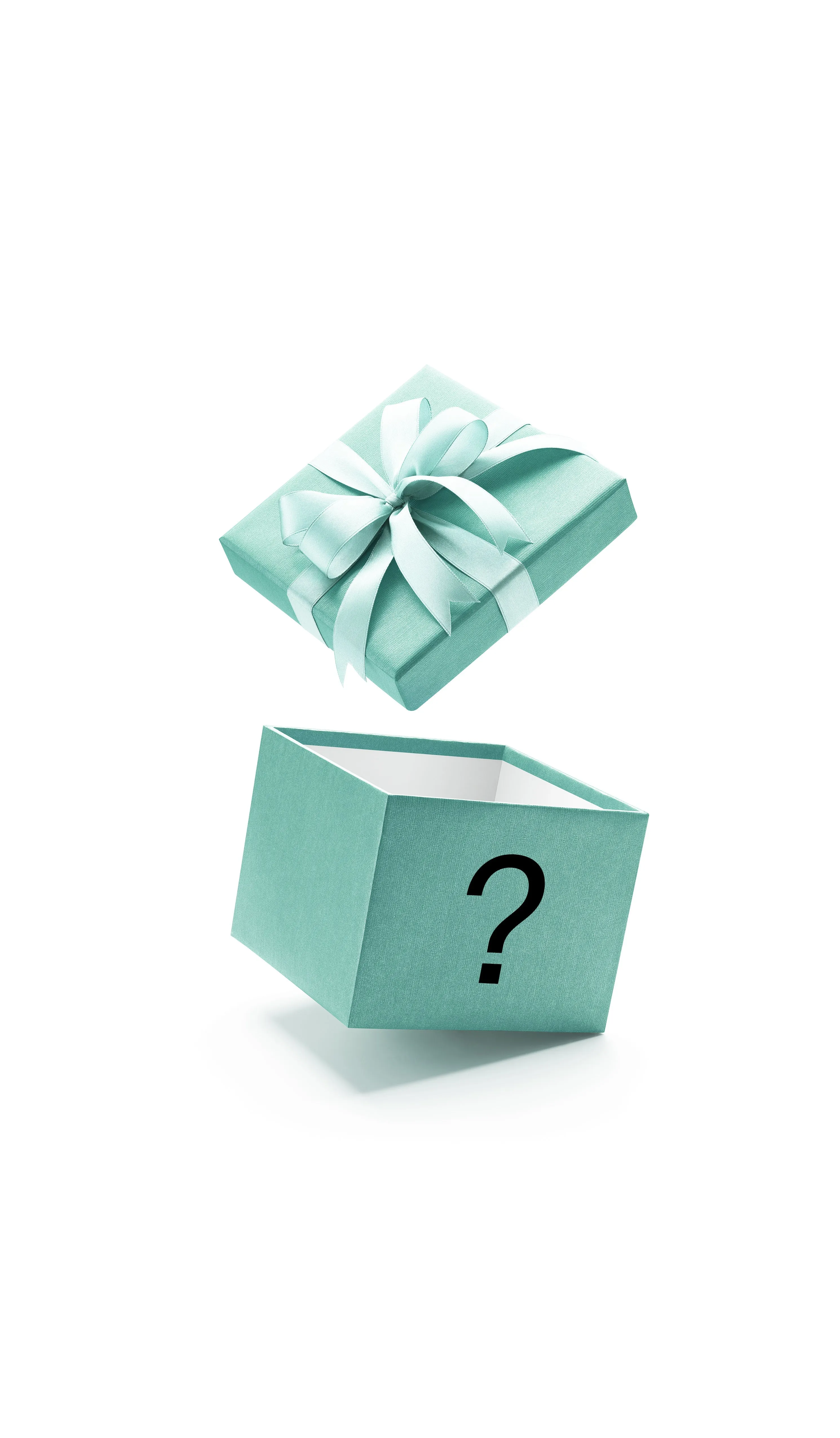 🎁 Mystery gift (100% off)