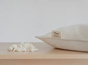 🎁 Organic Latex Rubber Pillow (100% off)