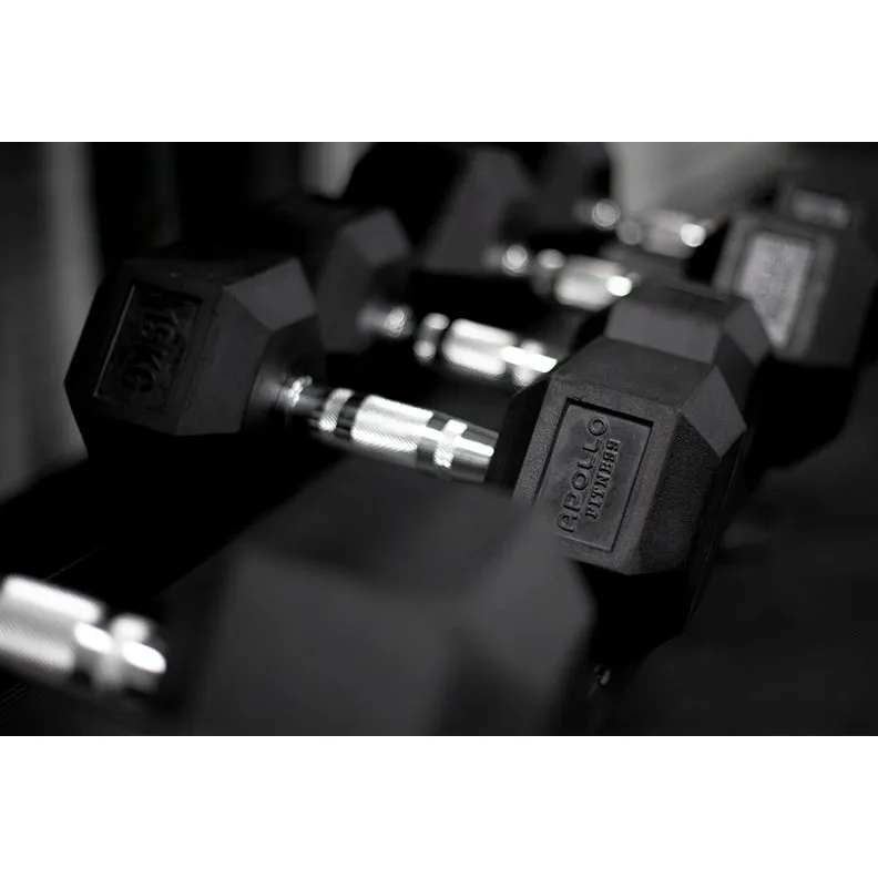 9 KG Hex dumbbells