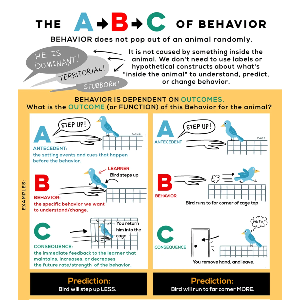ABC of Behavior