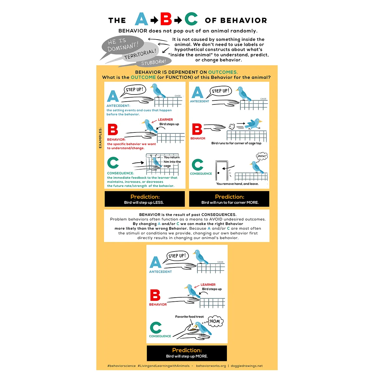 ABC of Behavior
