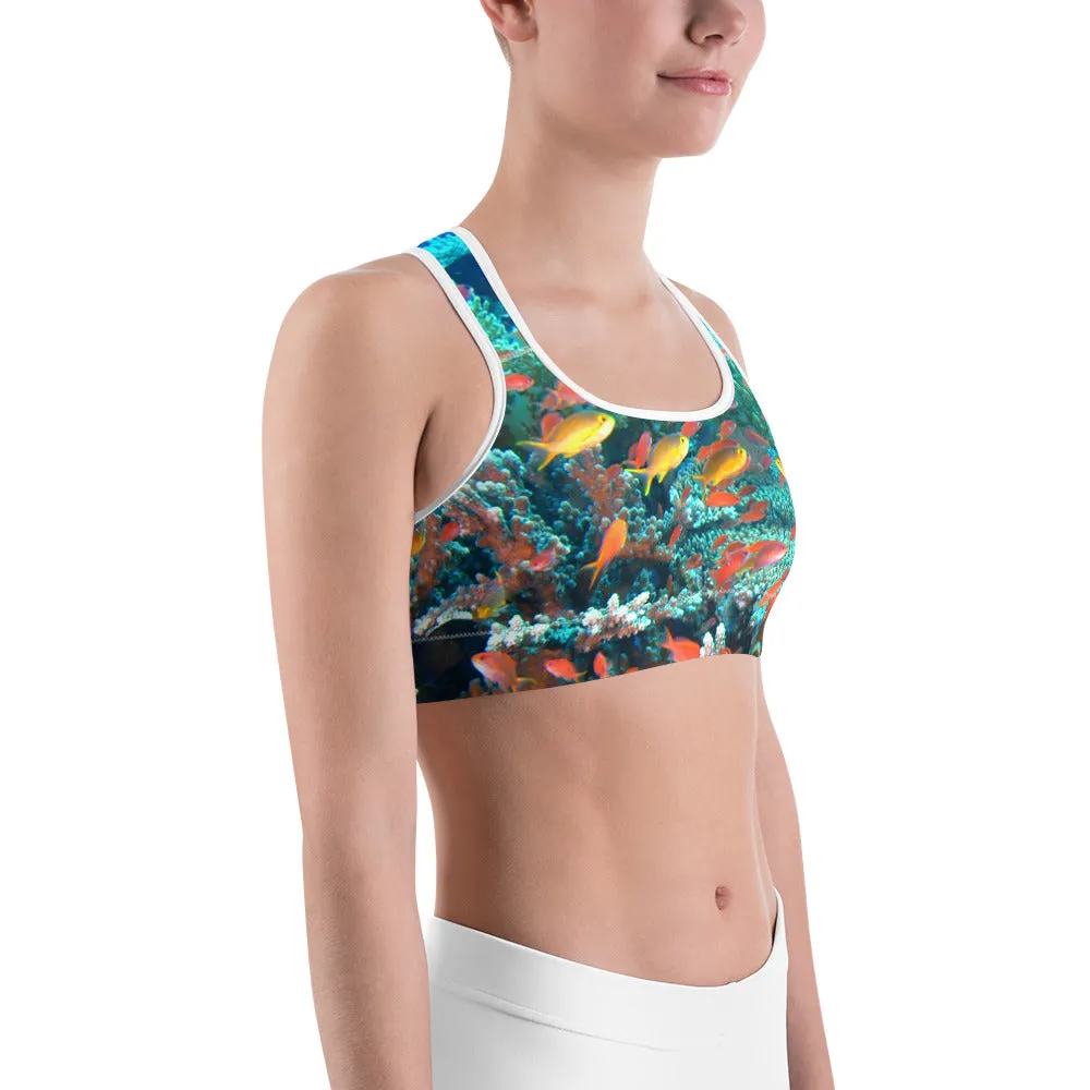 Anthias Reef Sports bra