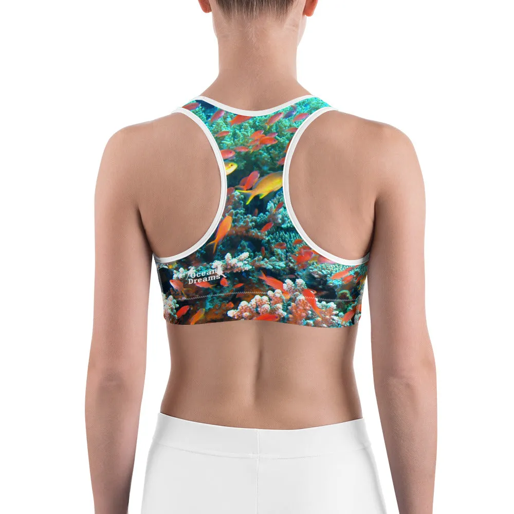 Anthias Reef Sports bra