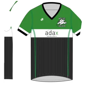 Apex Men's Run Top V-Neck