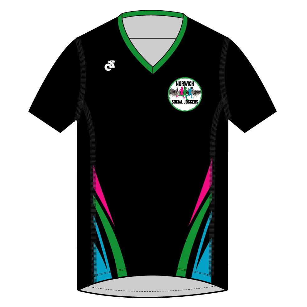 Apex Men's Run Top V-Neck
