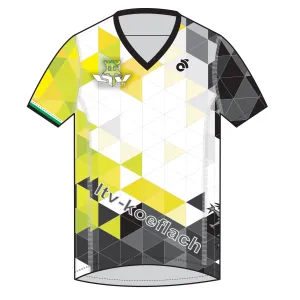 Apex Men's Run Top V-Neck