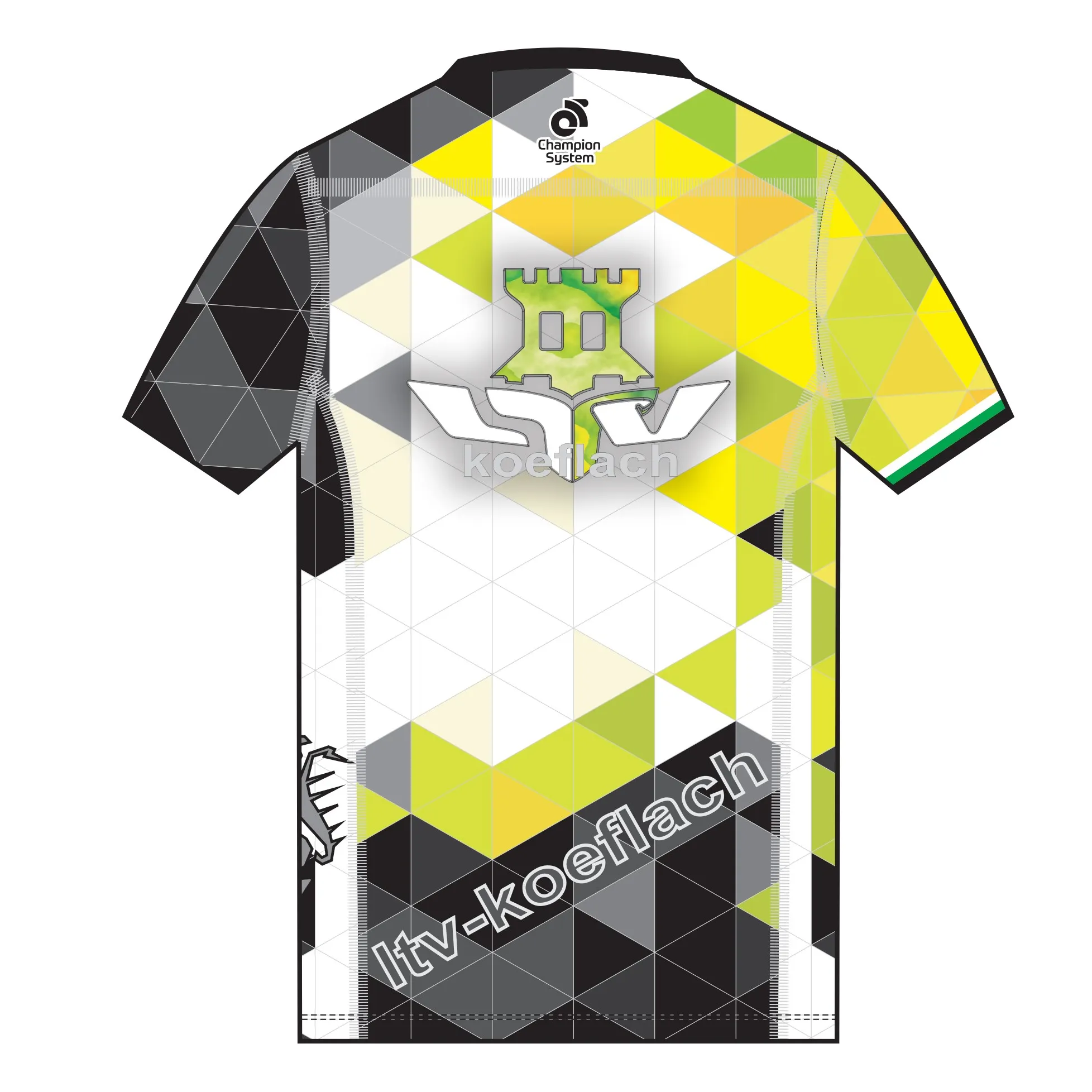 Apex Men's Run Top V-Neck