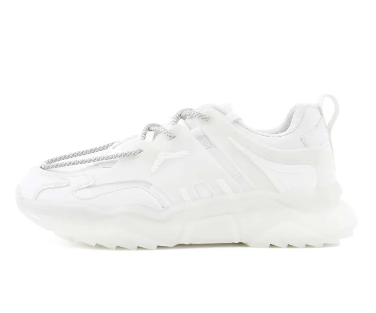Arctic White