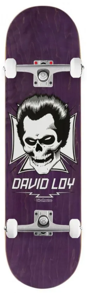 Birdhouse Pro Loy Skull Custom Complete Skateboard - 8.38"