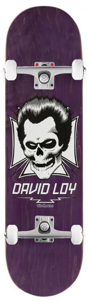 Birdhouse Pro Loy Skull Custom Complete Skateboard - 8.38"