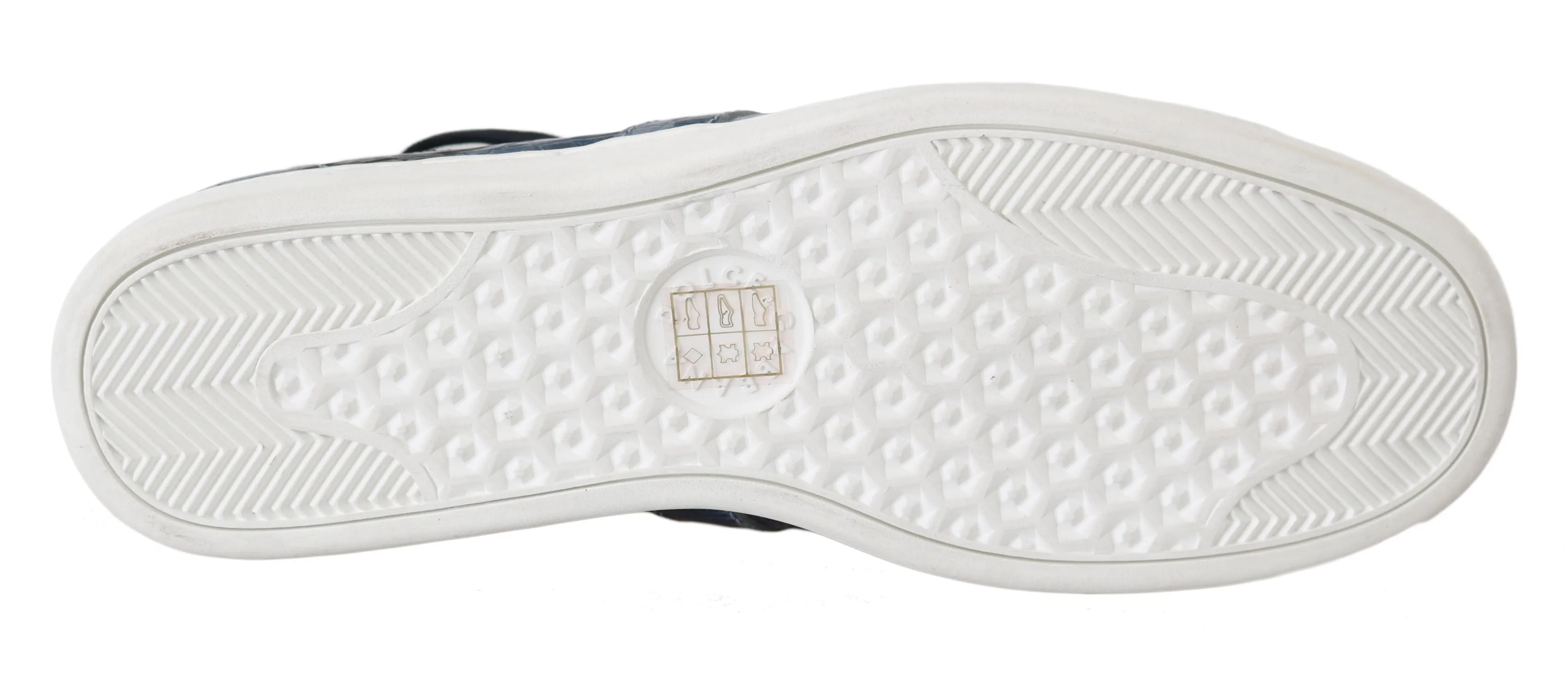 Blue Caiman Crocodile Sneakers