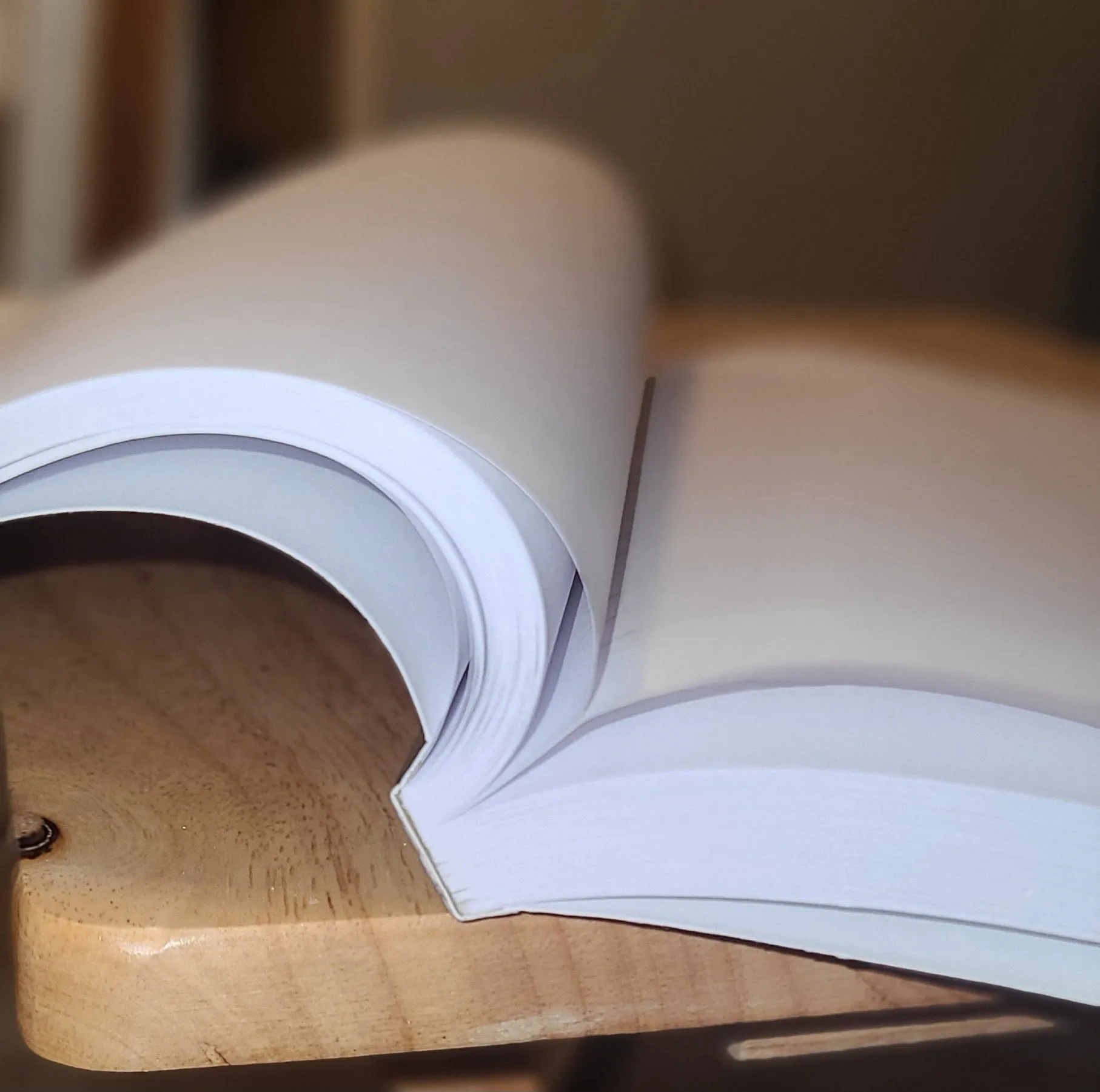 Can you Rock a Paper Bag?: A Guided Journal to Fashion Wellness