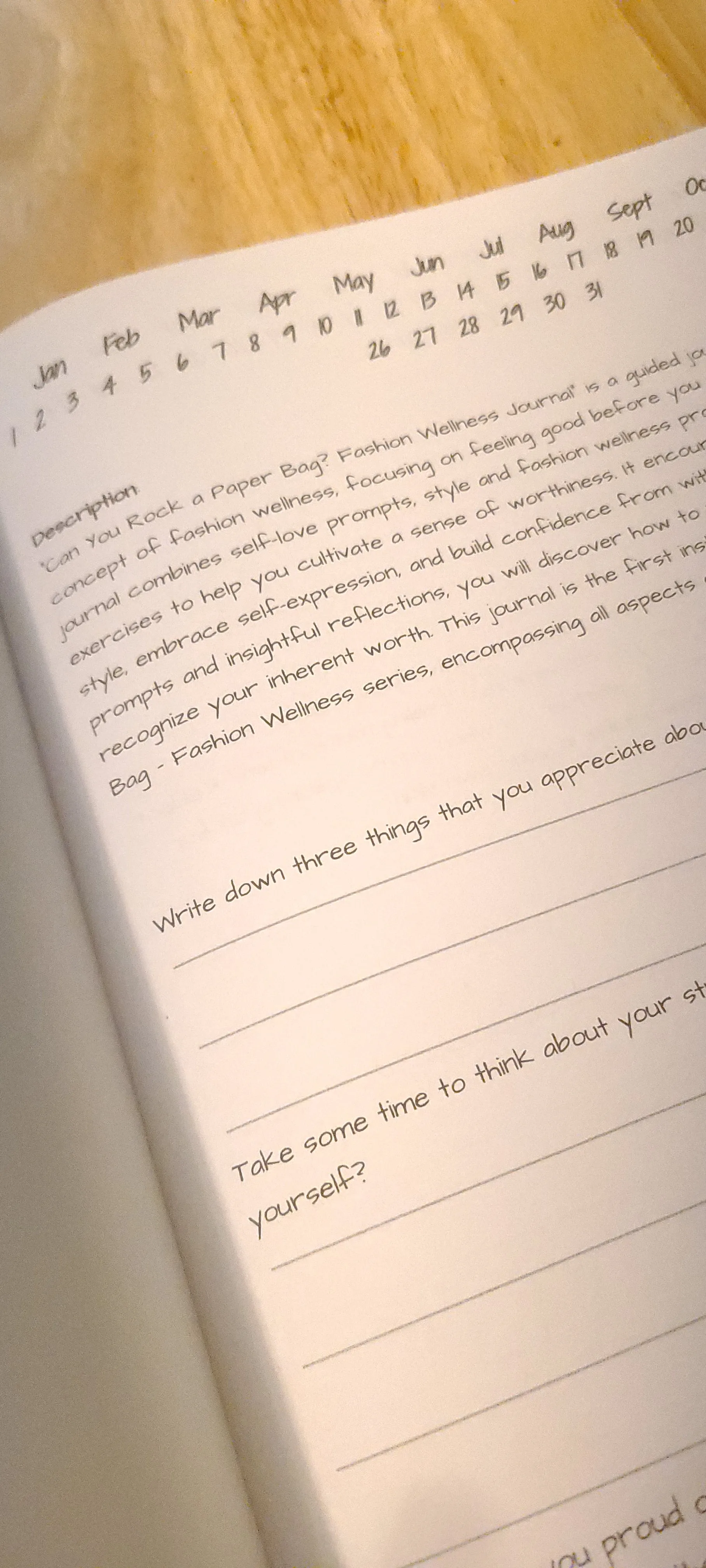 Can you Rock a Paper Bag?: A Guided Journal to Fashion Wellness