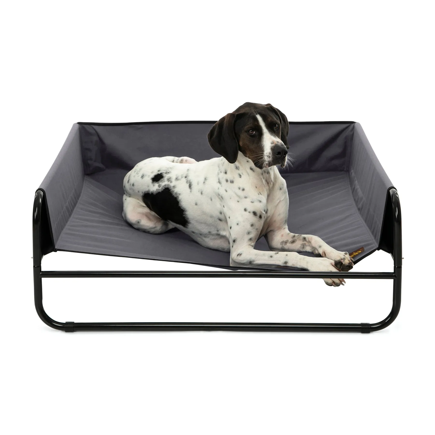 Charlie's High Walled Outdoor Trampoline Dog Bed Grey Medium