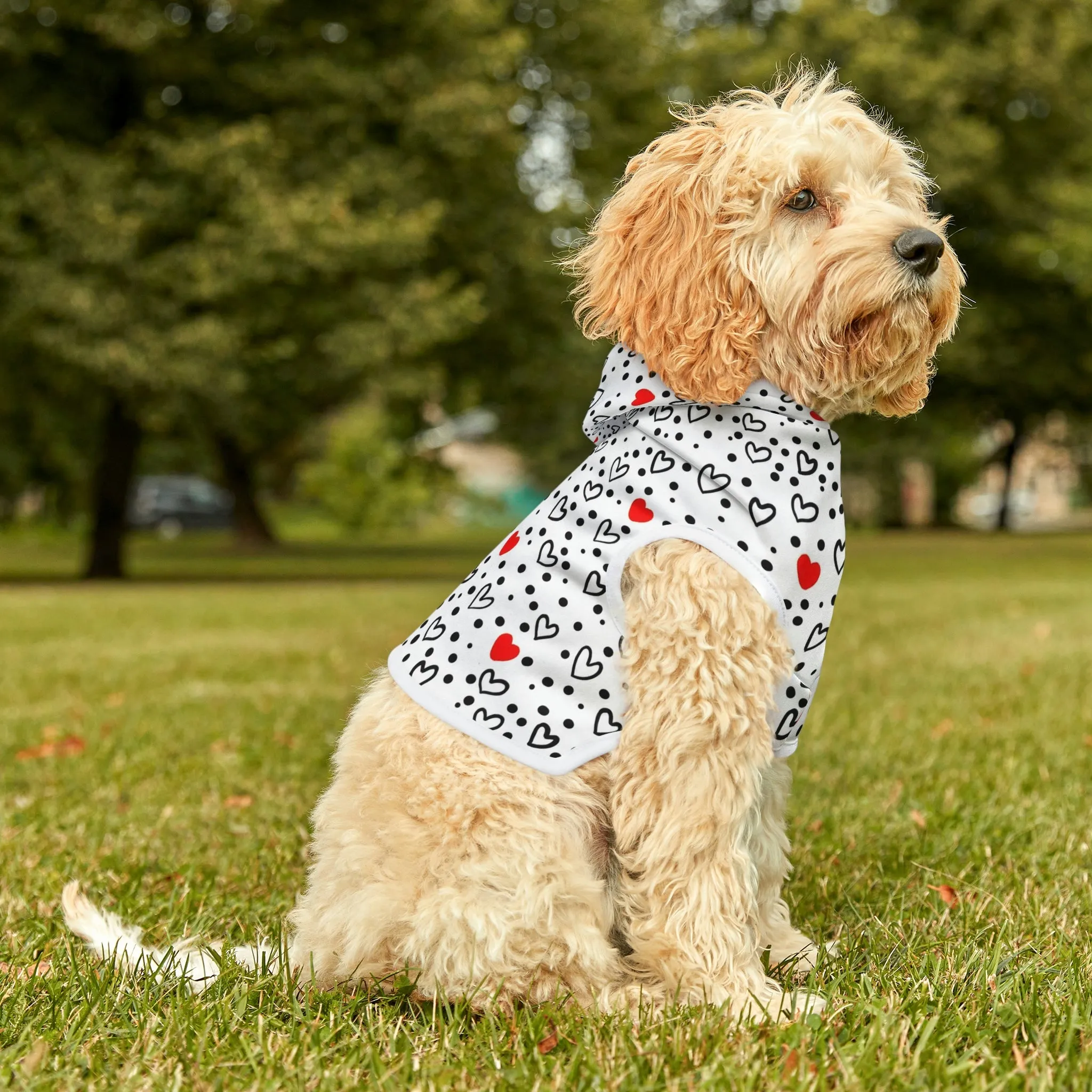 Dog Hoodie Sweater, Lovely Hearts - Comfortable Dog Clothes
