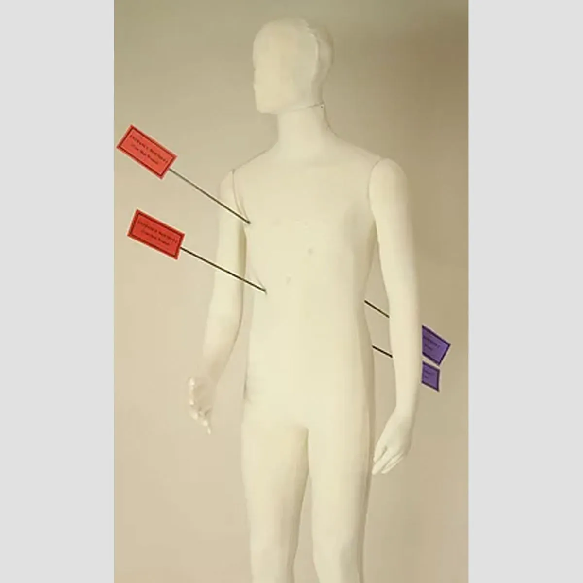 Dummies Unlimited Poly-Flex Forensic Mannequin