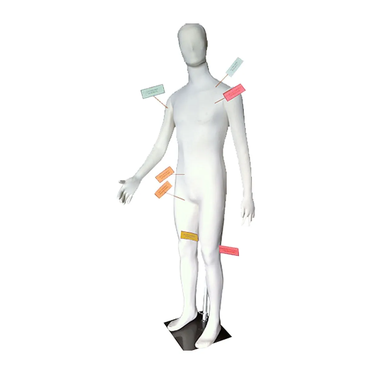 Dummies Unlimited Poly-Flex Forensic Mannequin