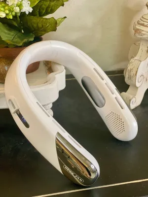 Electronic Neck Fan