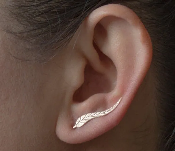 Fashion Earrings