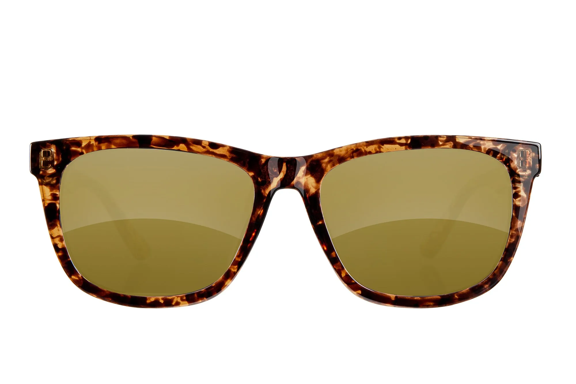 Fuse Lido Sunglasses | Gloss Tortoise