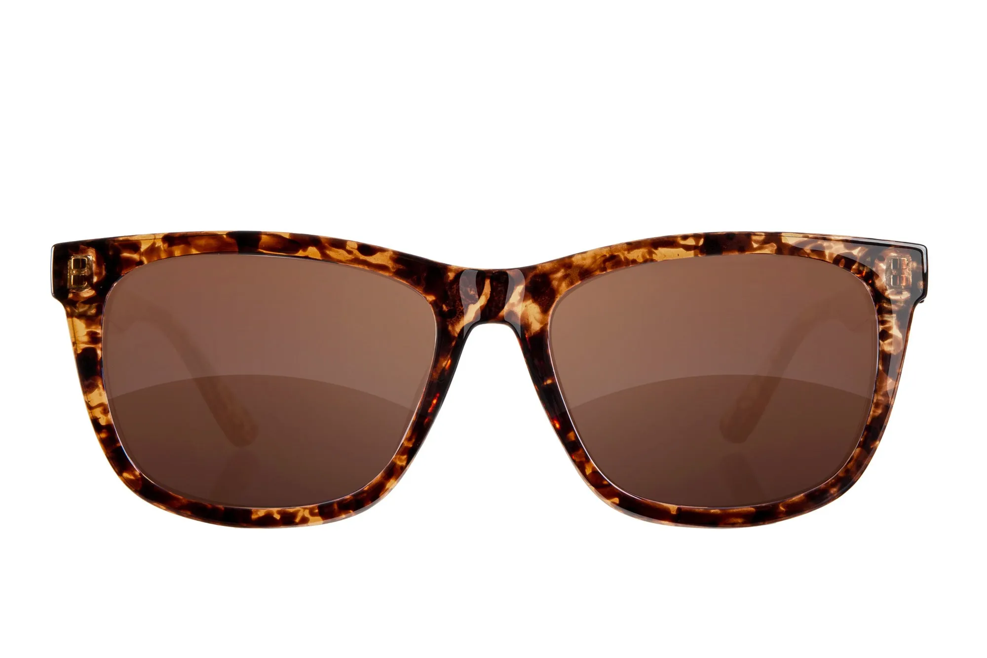 Fuse Lido Sunglasses | Gloss Tortoise