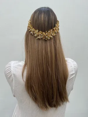 Gypsophila | 9