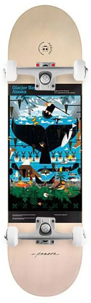 Habitat Harper Glacier Bay Complete Skateboard - 8.125"