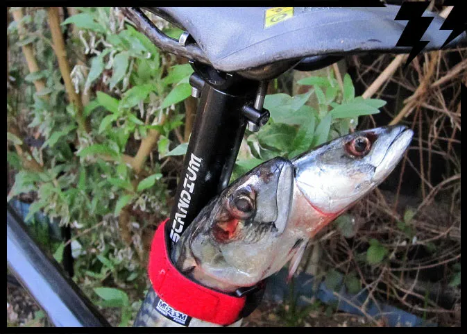HANDY STRAP - 15g