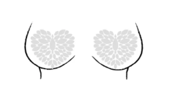 Heart Rhinestone Self-Adhesive Jewel Pasties