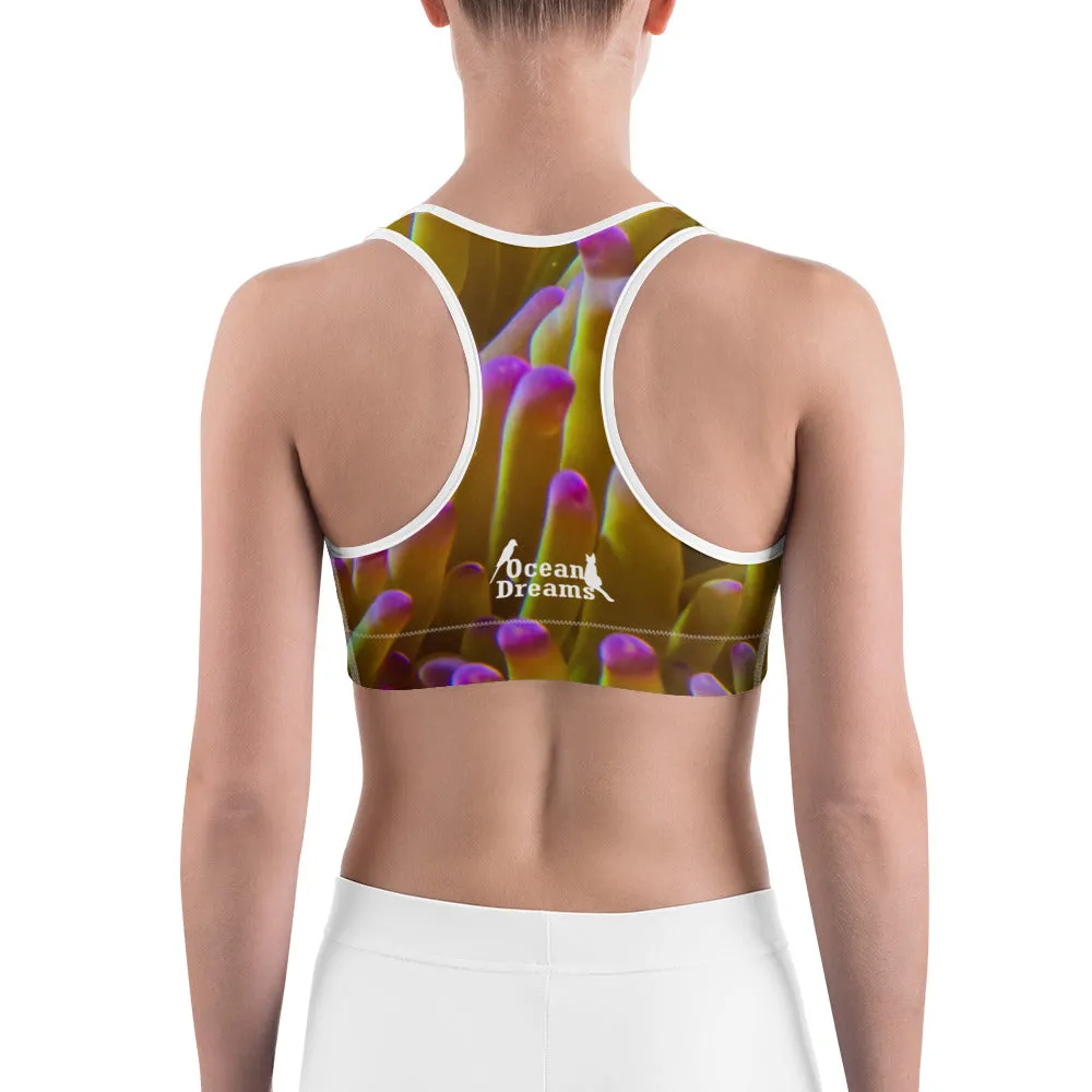 Hiding Nemo Sports bra