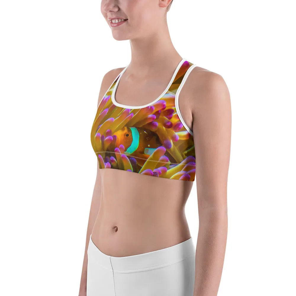 Hiding Nemo Sports bra
