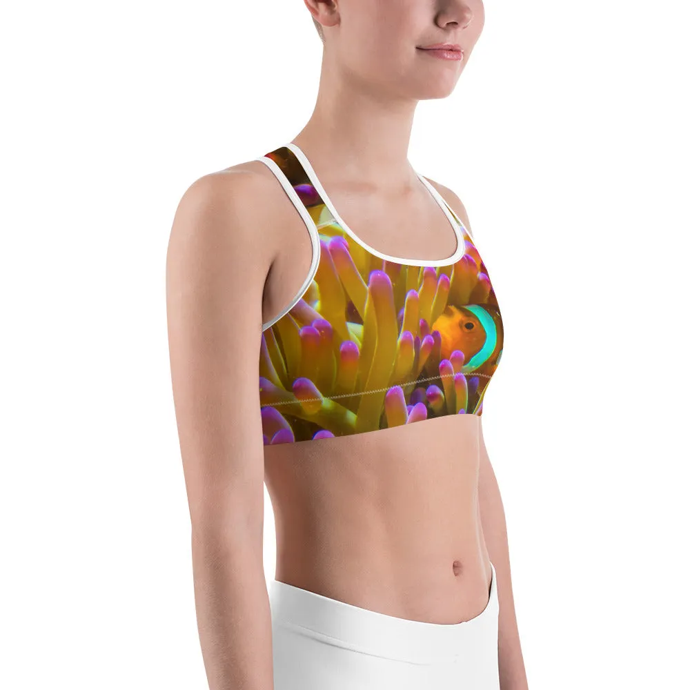 Hiding Nemo Sports bra