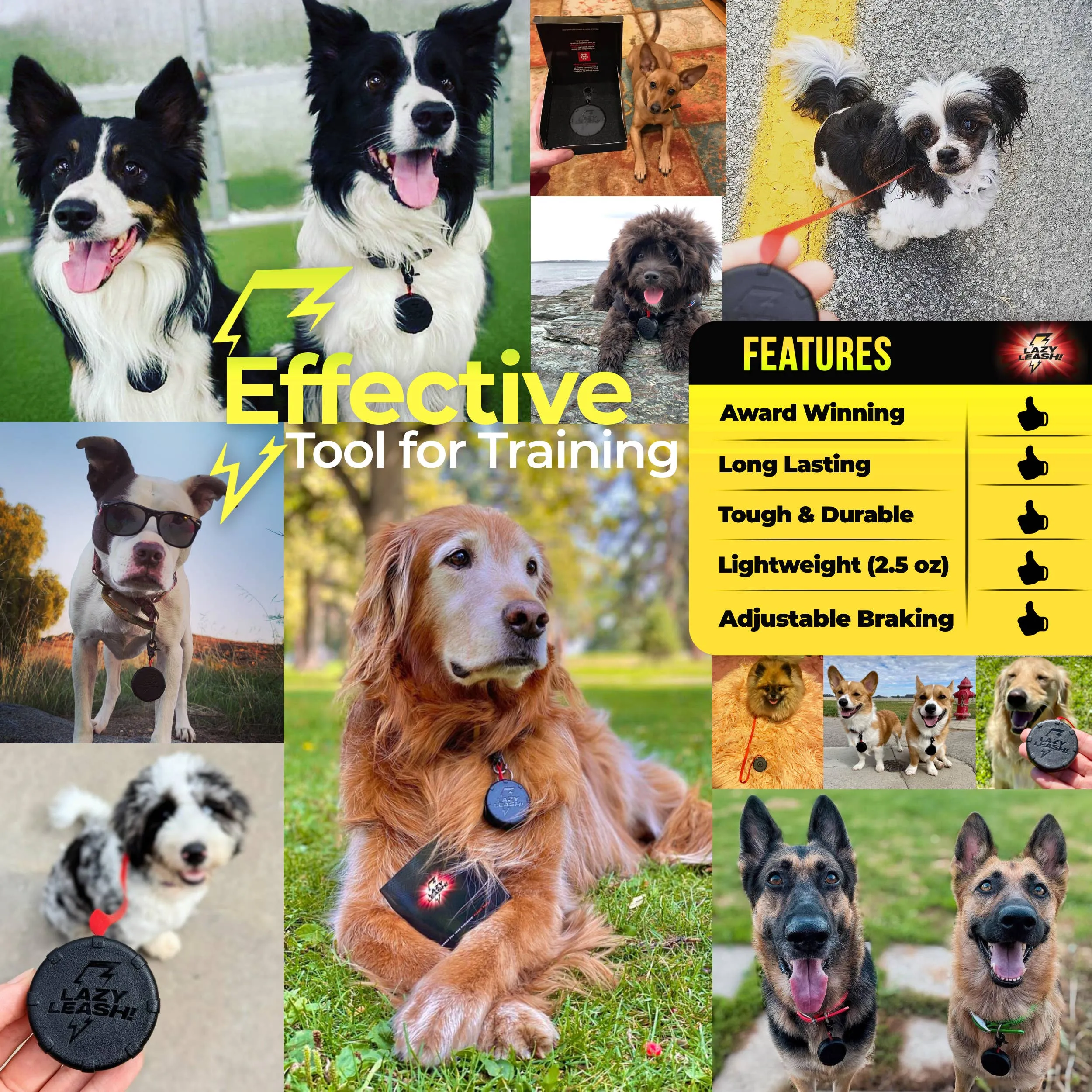 Lazy Leash! - LAZY LEASH! ⚡️ Mini Power Leash!