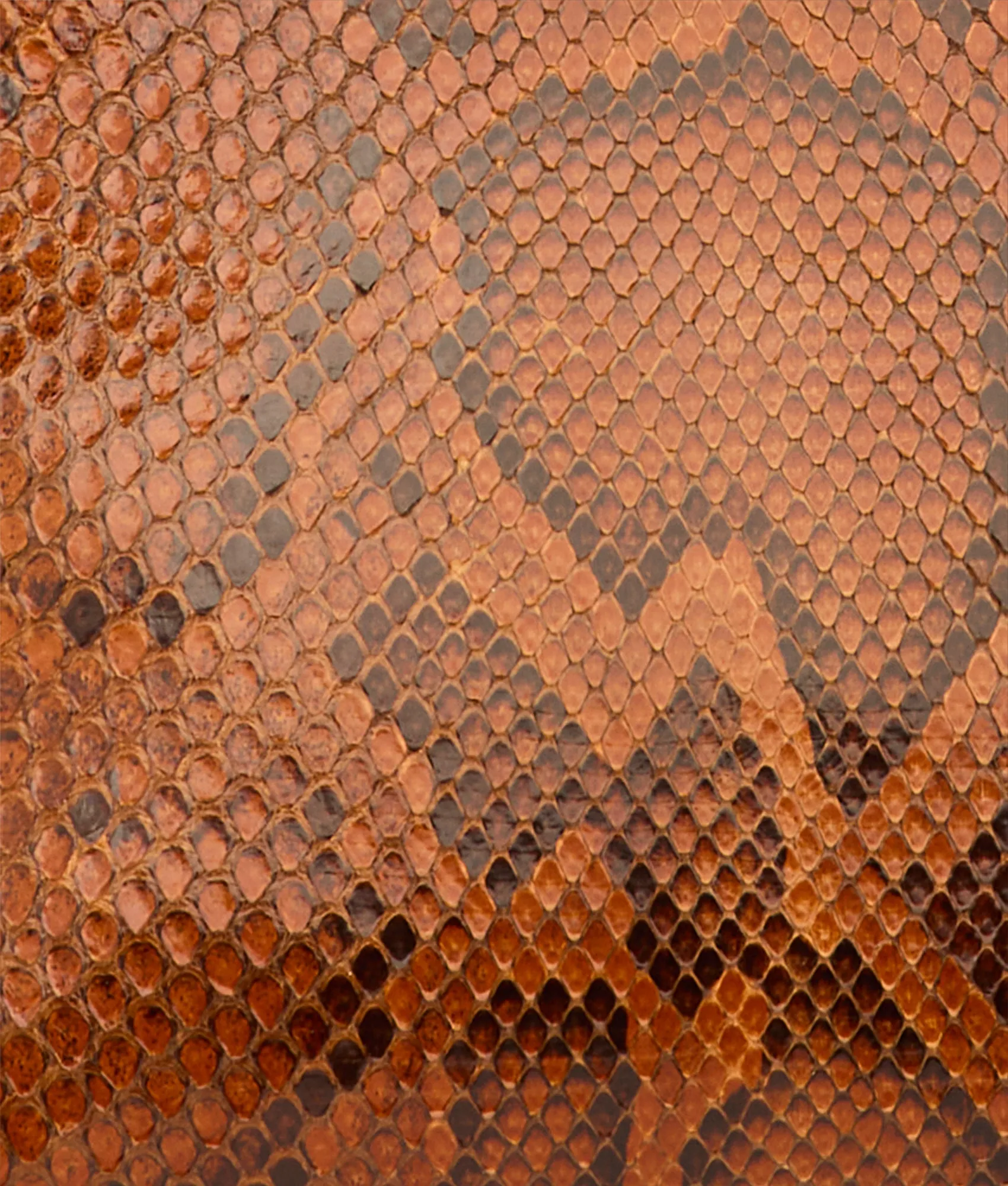 Mini Elle Exotic Clutch :: Amber