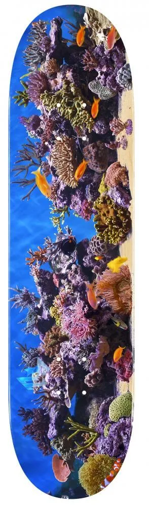 Mini Logo FF&F 18 Fish Tank 191 Mini Custom Complete Skateboard - 7.5"