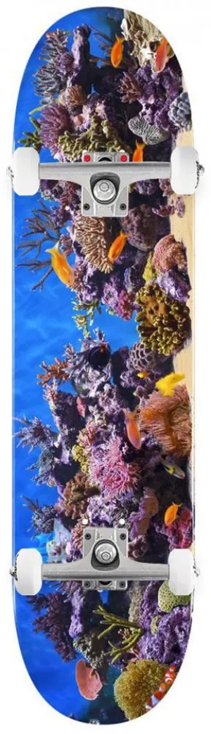 Mini Logo FF&F 18 Fish Tank 191 Mini Custom Complete Skateboard - 7.5"