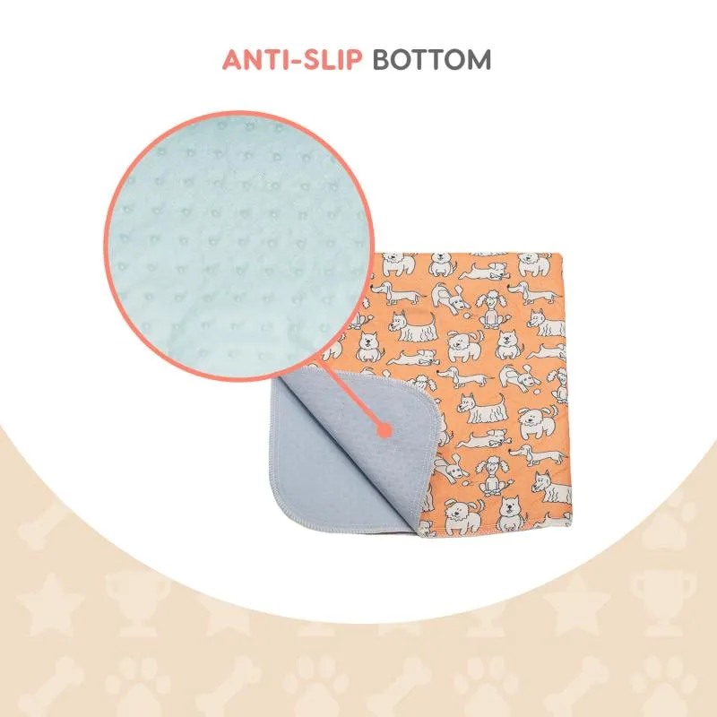 Misoko reusable pee pad for dogs, with puppies