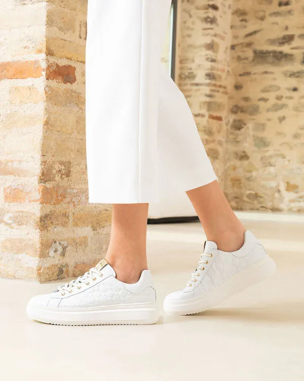 N4099150 - Bianco