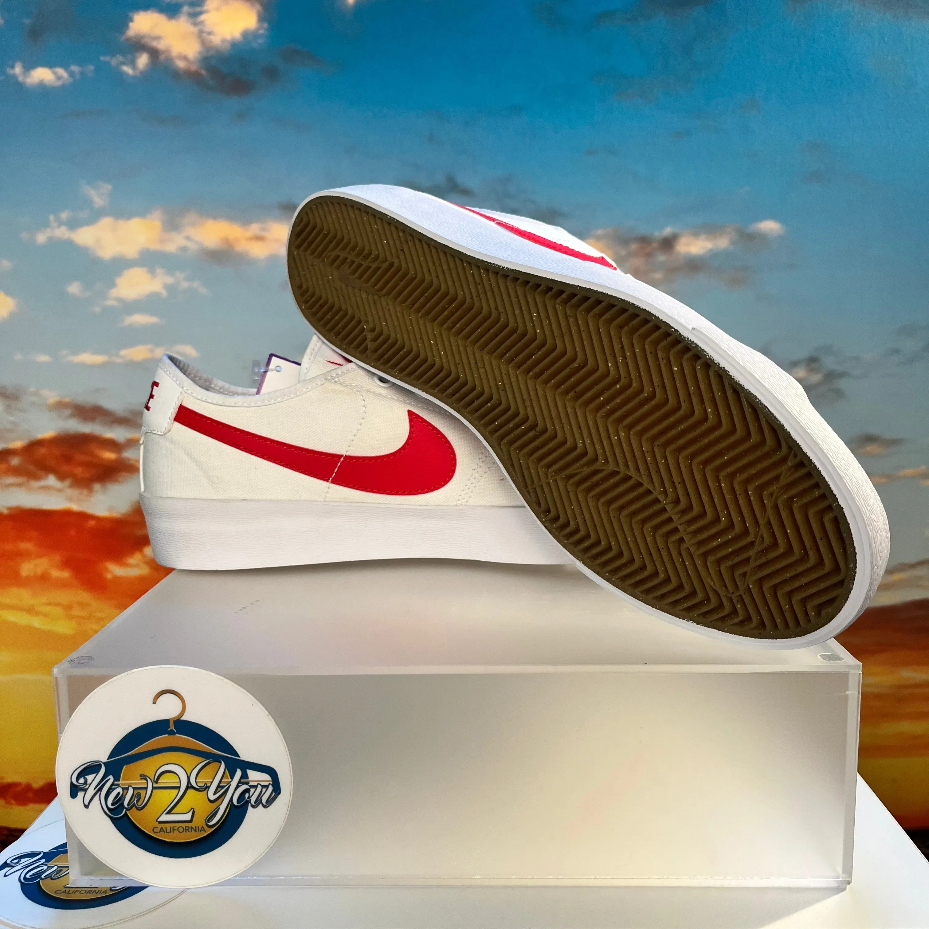 Nike SB Blazer Court Skate Shoes