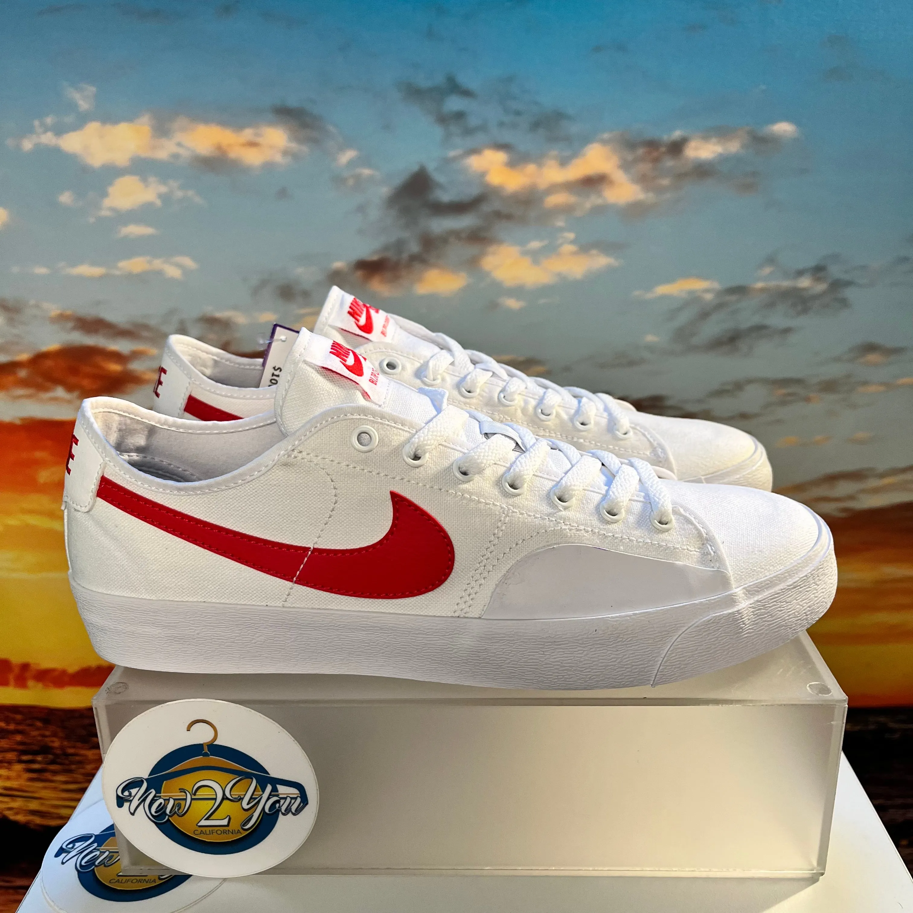Nike SB Blazer Court Skate Shoes