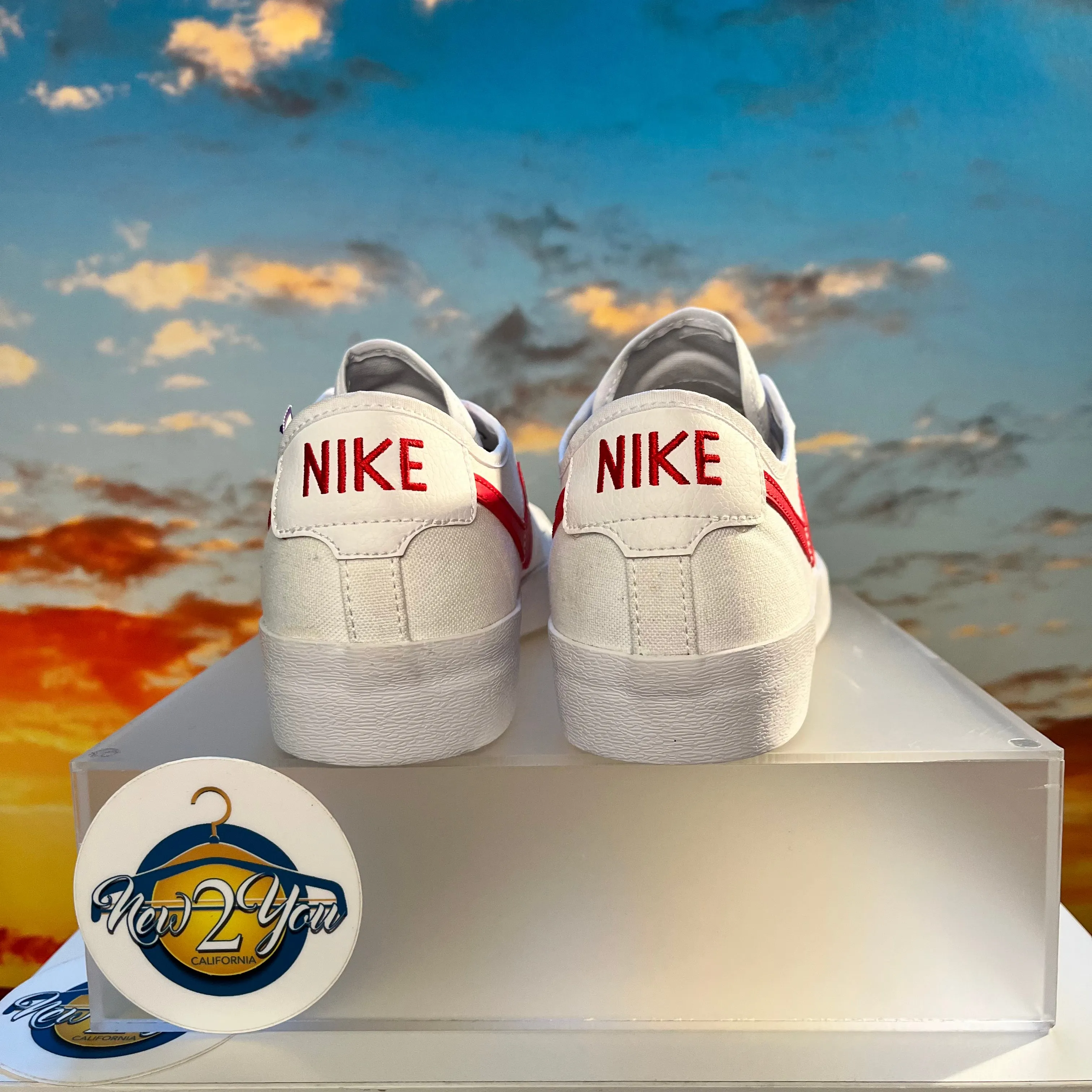 Nike SB Blazer Court Skate Shoes