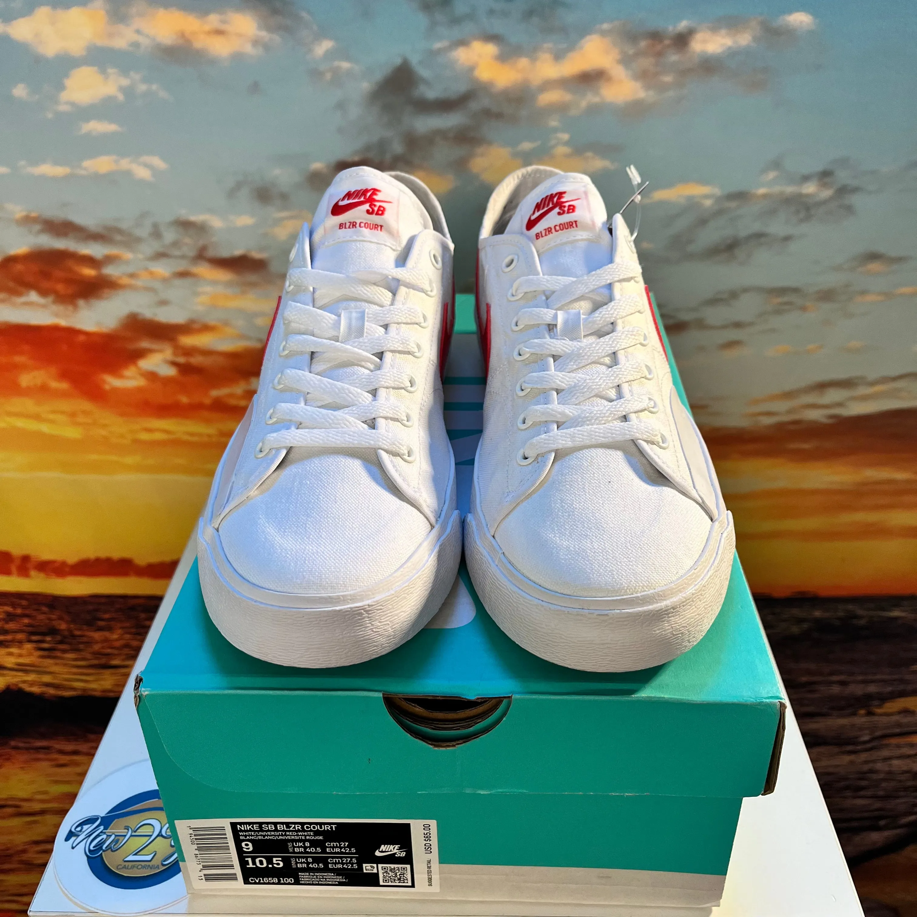 Nike SB Blazer Court Skate Shoes