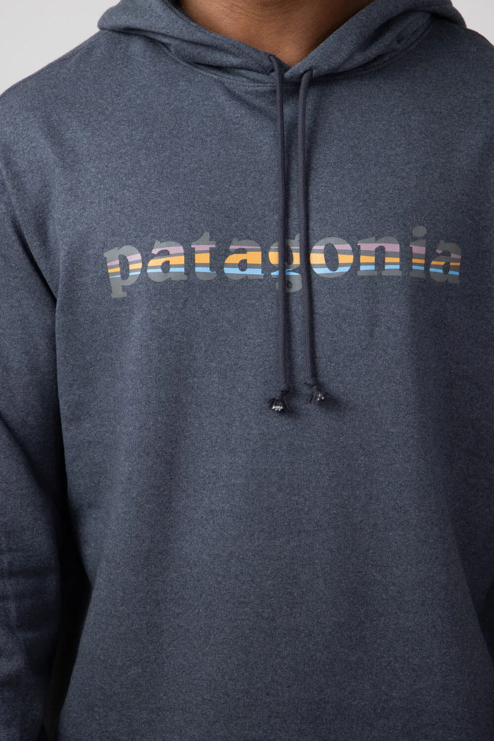 Patagonia Men’s ’73 Lightweight Wildrise Logo Hoodie in Ink Black | 39695-INBK