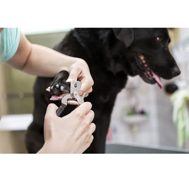 Pet Claw Clippers and File