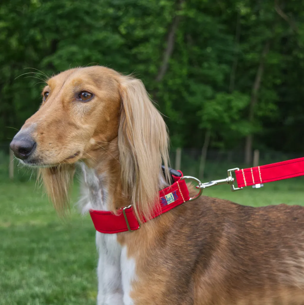 Pop Fashion Matching Leash