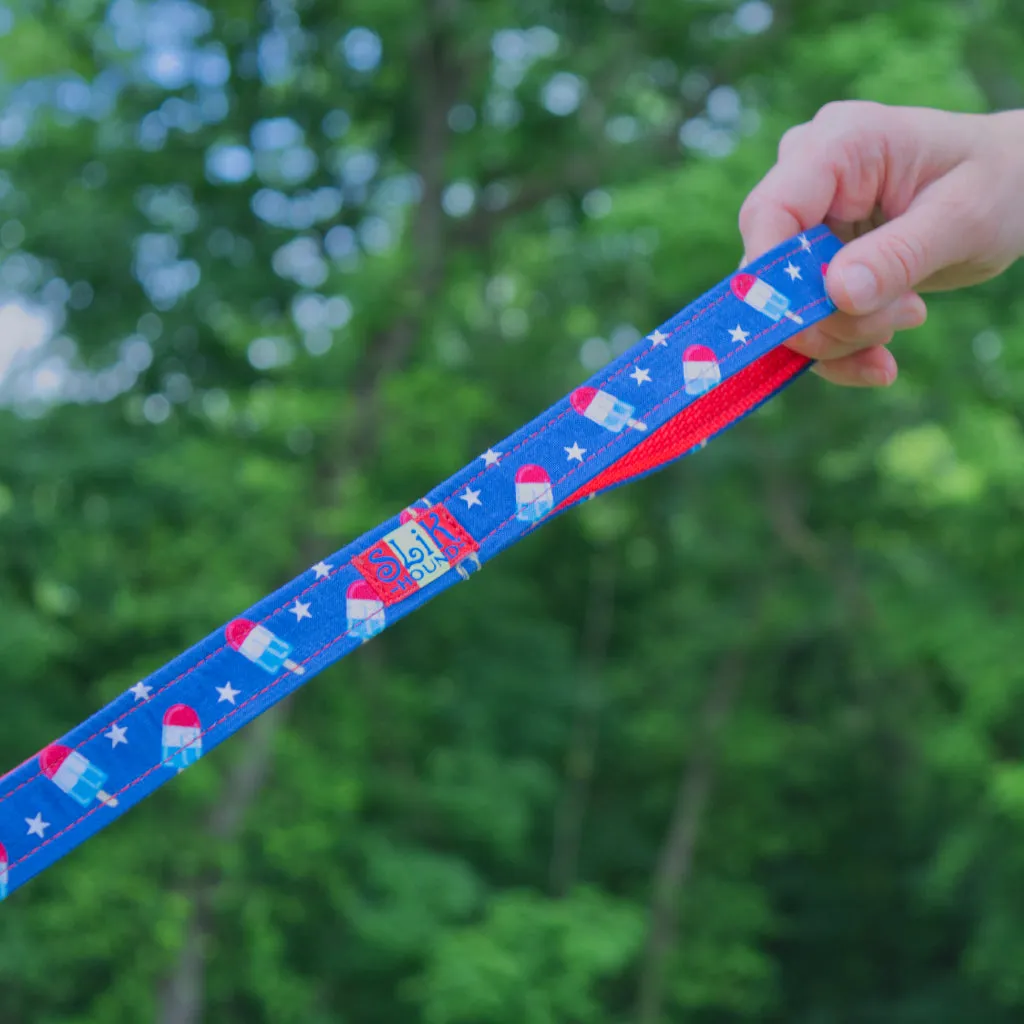 Pop Fashion Matching Leash