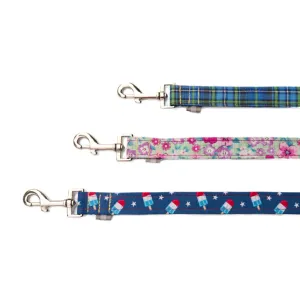Pop Fashion Matching Leash