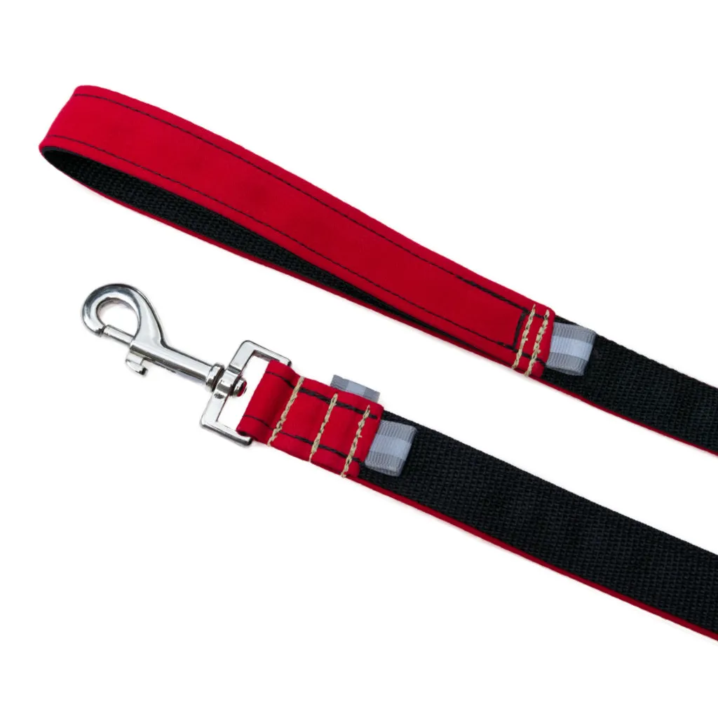 Pop Fashion Matching Leash