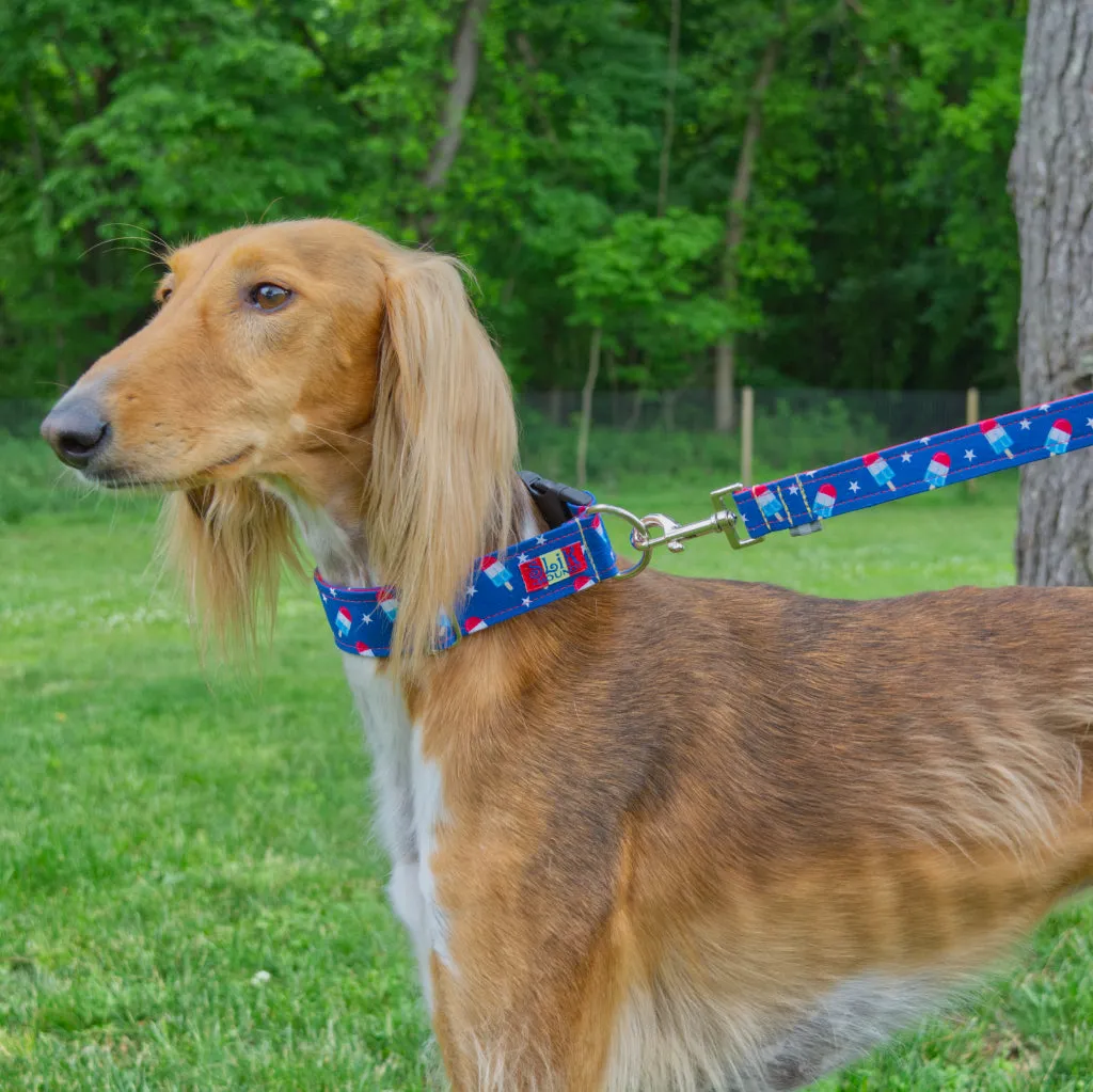 Pop Fashion Matching Leash